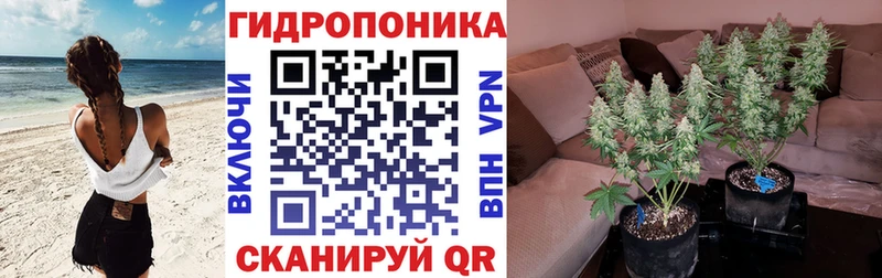 Шишки марихуана семена  купить   Лениногорск 